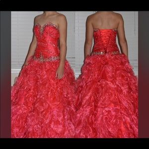 Prom/Beauty Walk Dress